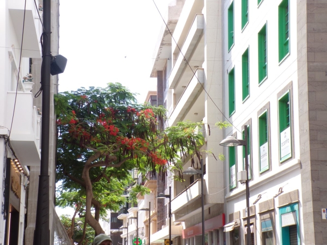 Travel Guide - Arrecife